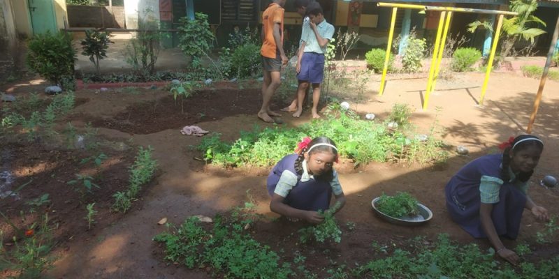 अंत्रवली शाळा ८